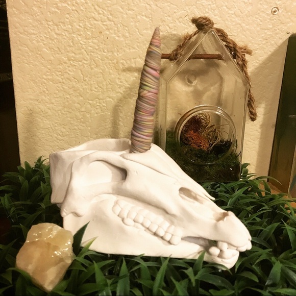 Artisan unicorn skull succulent pot
